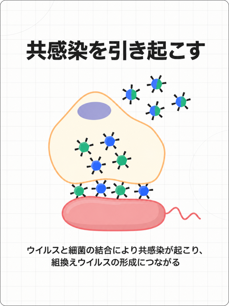 FIPの解説図