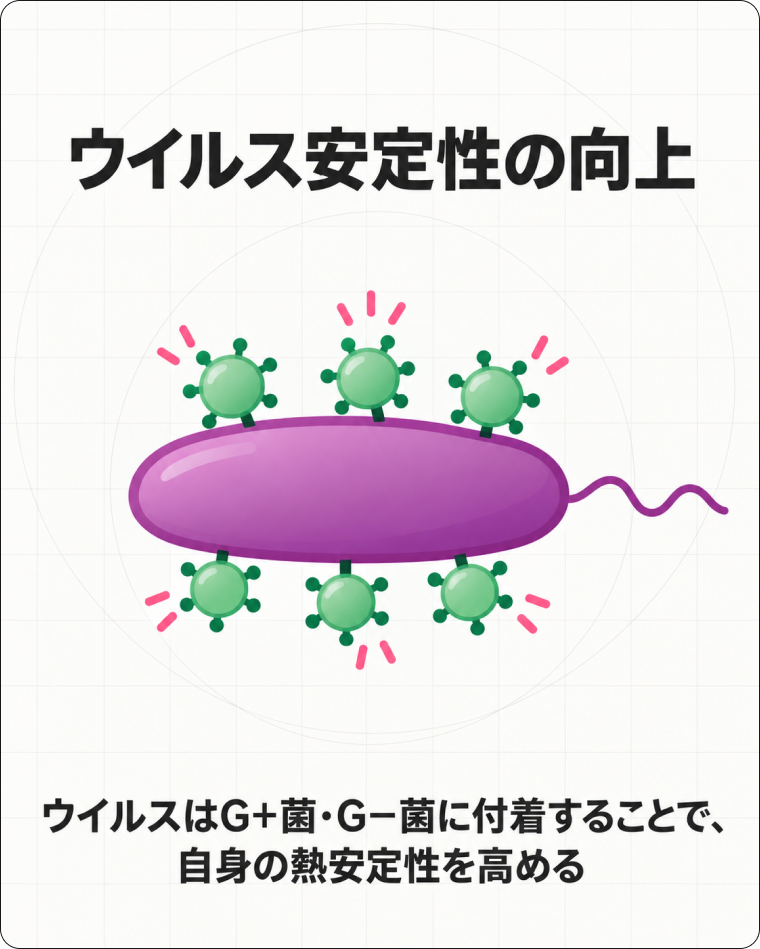 FIPの解説図