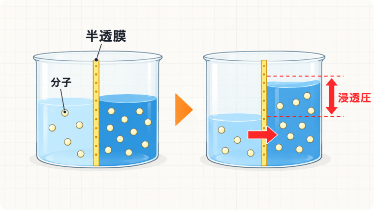 FIPの解説図